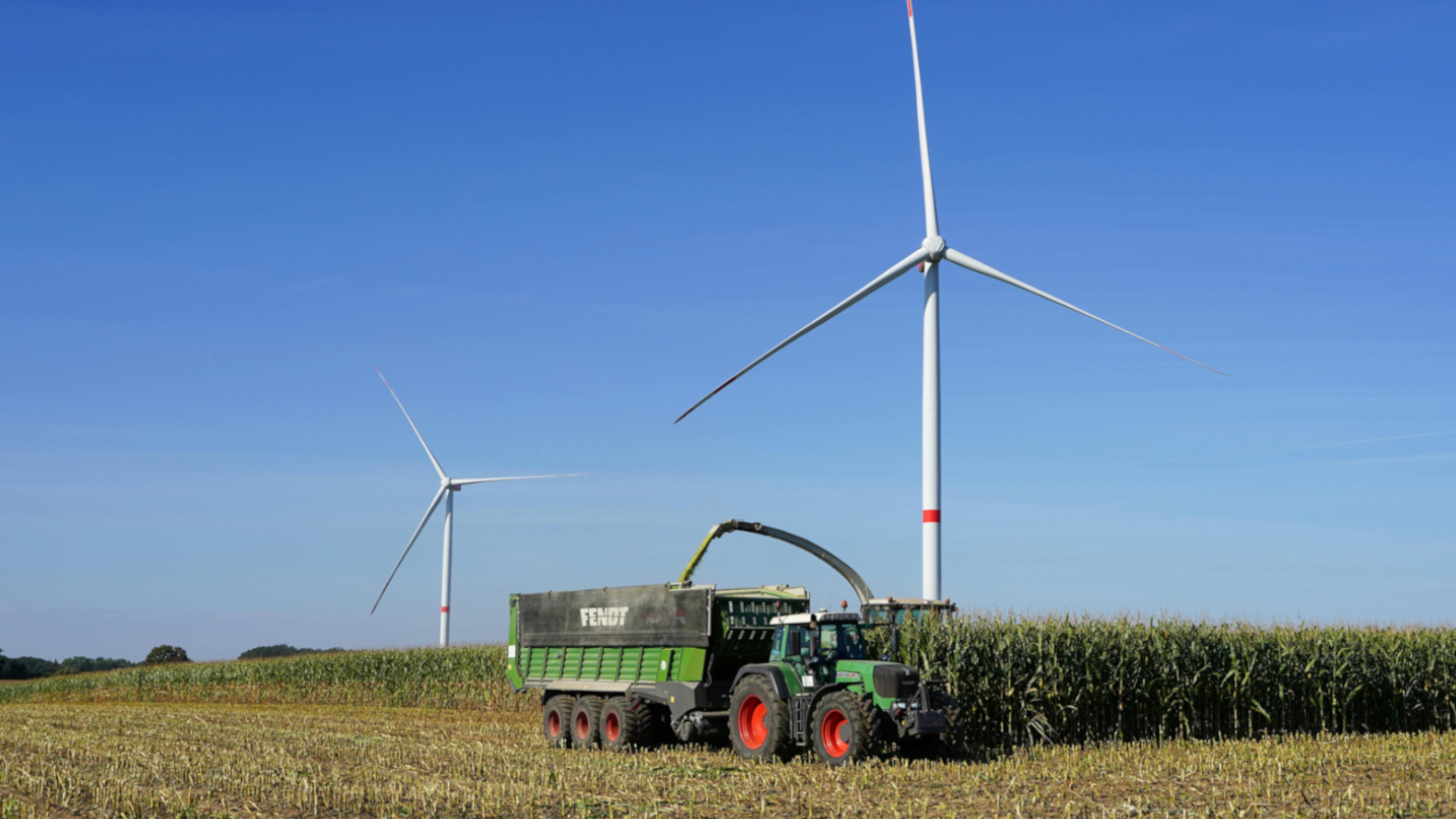 La calidad de la relación con el territorio: una condición de viabilidad para los proyectos de energía eólica
